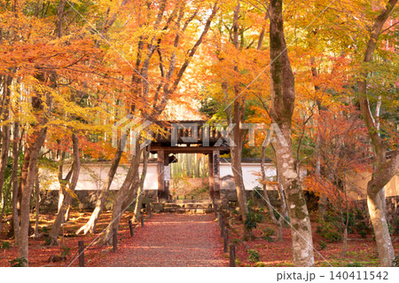 京都市西京区の通称竹寺と呼ばれる地蔵院の紅葉を撮影 京都市西京区の通称竹寺と呼ばれる地蔵院の紅葉を撮影 140411542