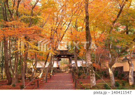 京都市西京区の通称竹寺と呼ばれる地蔵院の紅葉を撮影 140411547