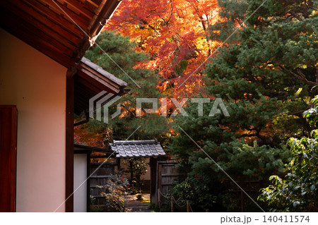 京都市西京区の通称竹寺と呼ばれる地蔵院の紅葉を撮影 京都市西京区の通称竹寺と呼ばれる地蔵院の紅葉を撮影 140411574