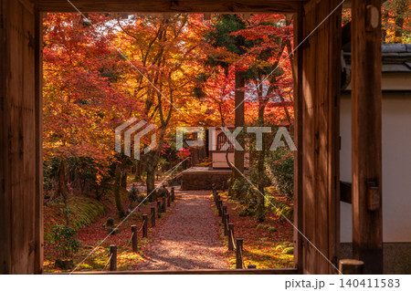 京都市西京区の通称竹寺と呼ばれる地蔵院の紅葉を撮影 京都市西京区の通称竹寺と呼ばれる地蔵院の紅葉を撮影 140411583