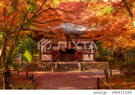 京都市西京区の通称竹寺と呼ばれる地蔵院の紅葉を撮影 京都市西京区の通称竹寺と呼ばれる地蔵院の紅葉を撮影 140411584