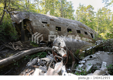 Bomber airplane wreck lying in a lush green mossy temperate forest 140412955