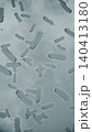 Microscopic view of infectious bacteria cells or bacterium illustration. Ideal for projects related to microbiology, healthcare and science.	 140413180
