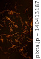 Microscopic view of infectious Ebola Virus cells (virions) and red blood cells flowing through the human bloodstream. Medical and healthcare concept vertical illustration. 140413187