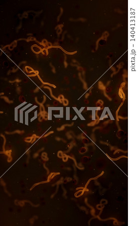 Microscopic view of infectious Ebola Virus cells (virions) and red blood cells flowing through the human bloodstream. Medical and healthcare concept vertical illustration. Microscopic view of infectious Ebola Virus cells (virions) and red blood cells flowing through the human bloodstream. Medical and healthcare concept vertical illustration. 140413187