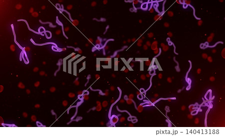 Microscopic view of infectious Ebola Virus cells (virions) and red blood cells flowing through the human bloodstream. Microscopic view of infectious Ebola Virus cells (virions) and red blood cells flowing through the human bloodstream. 140413188