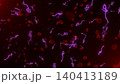 Microscopic view of infectious Ebola Virus cells (virions) and red blood cells flowing through the human bloodstream.  140413189