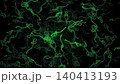Microscopic view of infectious Ebola Virus cells or virions colored green with the GFP gene, green fluorescent protein. Medical and healthcare concept illustration. 140413193
