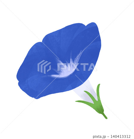 青い朝顔の花と緑のがくのイラスト素材 斜めアングルの夏の植物 青い朝顔の花と緑のがくのイラスト素材 斜めアングルの夏の植物 140413312