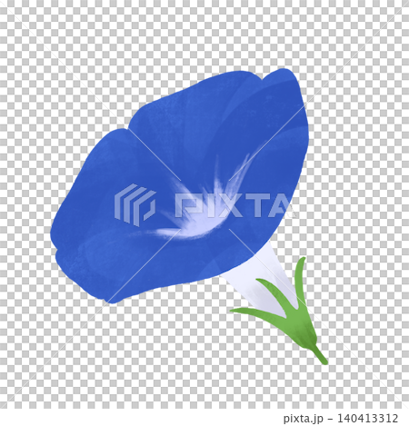 青い朝顔の花と緑のがくのイラスト素材 斜めアングルの夏の植物 青い朝顔の花と緑のがくのイラスト素材 斜めアングルの夏の植物 140413312