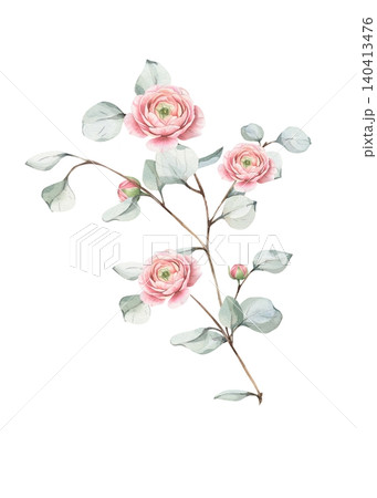 Watercolor illustration of branch with pink ranunculus flowers and green eucalyptus leaves in realistic style. Isolated on white background, for romantic design, wedding invitation, card, flower shop. 140413476