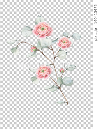 Watercolor illustration of branch with pink ranunculus flowers and green eucalyptus leaves in realistic style. Isolated on white background, for romantic design, wedding invitation, card, flower shop. 140413476