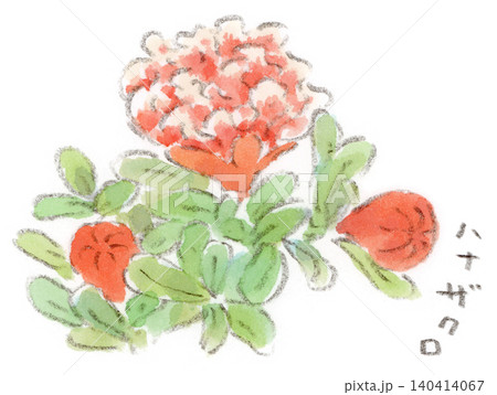 140414067