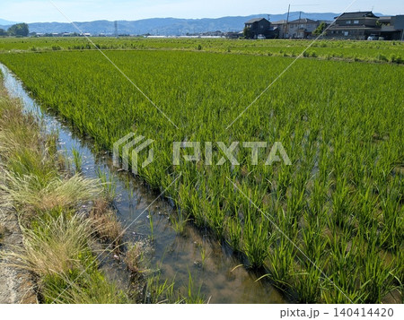 田園3 田園3 140414420