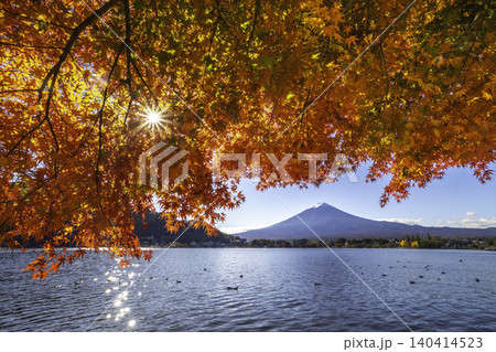 Mount Fuji with red maple leaves, Lake Kawaguchi, Yamanashi Prefecture, Japan 140414523
