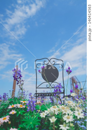 青空の下、美しい春の花畑に置かれたヴィンテージのアイアンチェア 140414563