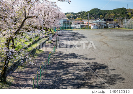 満開の桜並木が校庭に咲く春の日の学校の運動場 140415516