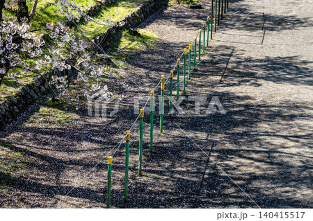 学校の校庭にある鉄棒の足元に、桜の花びらが積もる情緒あふれる春の光景 140415517