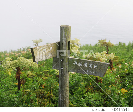 北海道 礼文島 岬めぐりトレッキング 北海道 礼文島 岬めぐりトレッキング 140415540