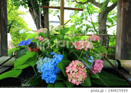 紫陽花の花手水 140415934