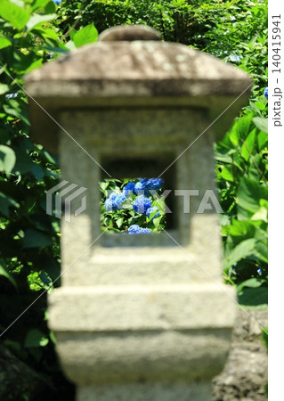 紫陽花と石灯籠 紫陽花と石灯籠 140415941