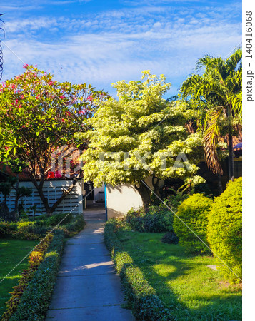 Beautiful tropical garden park featuring a paved walking path, green manicured lawns, and a blooming red flamboyant tree under a clear sunny blue sky. Beautiful tropical garden park featuring a paved walking path, green manicured lawns, and a blooming red flamboyant tree under a clear sunny blue sky. 140416068