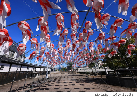 柳井 金魚ちょうちん祭り3033 柳井 金魚ちょうちん祭り3033 140416335