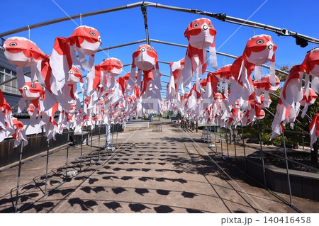 柳井 金魚ちょうちん祭り2989 柳井 金魚ちょうちん祭り2989 140416458