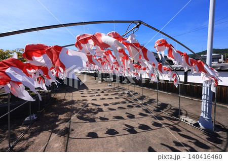 柳井 金魚ちょうちん祭り3001 140416460