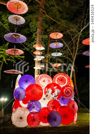 【栃木県 日光】鬼怒川公園 月あかり花回廊 【栃木県 日光】鬼怒川公園 月あかり花回廊 140416524