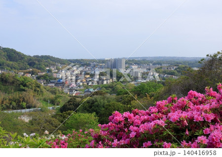神奈川県・横須賀市・太田和つつじの丘 神奈川県・横須賀市・太田和つつじの丘 140416958