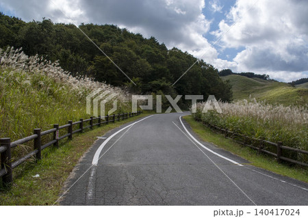 兵庫県神河町 砥峰高原のススキに囲まれた道路風景 140417024