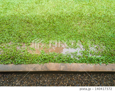 Grass died because yard drainage problems and waterlogged lawns. Grass died because yard drainage problems and waterlogged lawns. 140417372