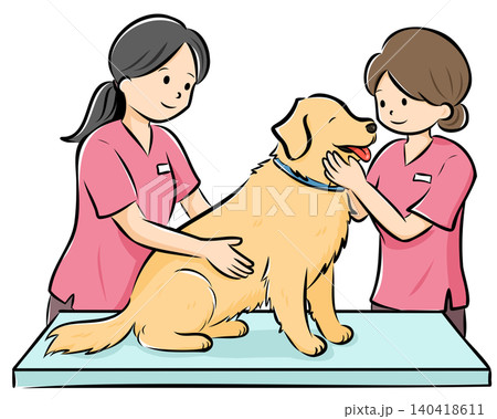 HPやカタログで使いやすい動物病院で診察を受ける大型犬（ゴールデン）のベクターイラスト 140418611
