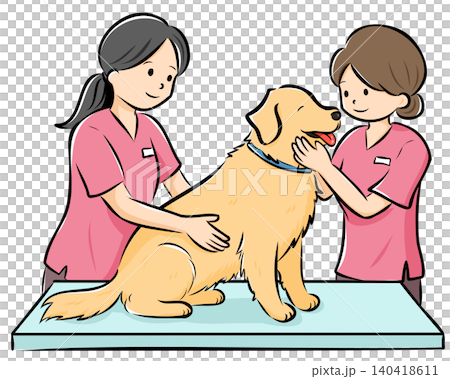 HPやカタログで使いやすい動物病院で診察を受ける大型犬（ゴールデン）のベクターイラスト 140418611