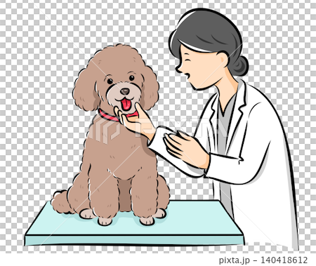 向量圖描繪了一隻狗(貴賓犬)在獸醫診所接受檢查的場景,易於在網站和產品目錄中使用。 向量圖描繪了一隻狗(貴賓犬)在獸醫診所接受檢查的場景,易於在網站和產品目錄中使用。 140418612
