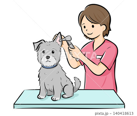 HPやカタログで使いやすい動物病院で診察を受ける犬（シュナウザー）のベクターイラスト 140418613