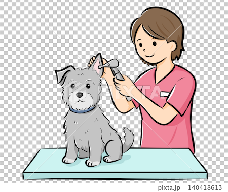 HPやカタログで使いやすい動物病院で診察を受ける犬（シュナウザー）のベクターイラスト 140418613