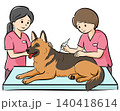 HPやカタログで使いやすい動物病院で診察を受ける大型犬（シェパード）のベクターイラスト 140418614