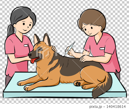 Vector illustration of a large dog (German Shepherd) receiving a checkup at a veterinary clinic, easy to use on websites and catalogs. Vector illustration of a large dog (German Shepherd) receiving a checkup at a veterinary clinic, easy to use on websites and catalogs. 140418614