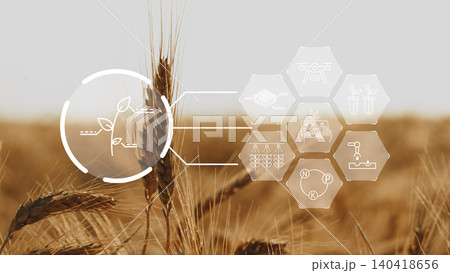 Farm uses smart technology for crop monitoring and data collection in wheat fields 140418656