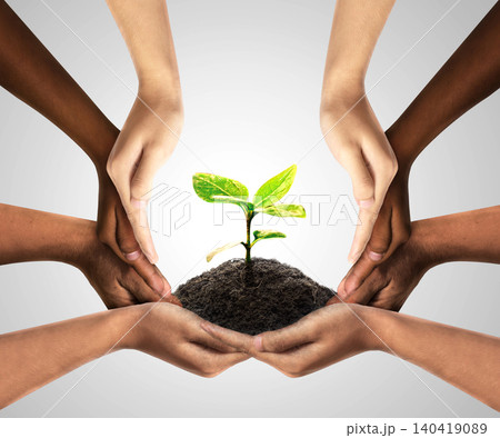 Group of diverse people care and responsibility idea as a corporation through social diverse hands nurturing a sapling tree. Social community cooperation concept. group crowdfunding investment symbol. 140419089