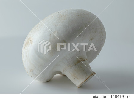 Studio product photography of a whole white agaricus mushroom with soft lighting and clean shadows Studio product photography of a whole white agaricus mushroom with soft lighting and clean shadows 140419155