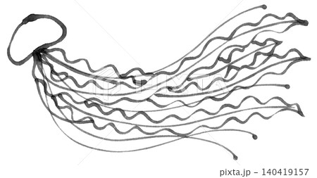 じんわりしたマーカーで描いたくらげモノクロ じんわりしたマーカーで描いたくらげモノクロ 140419157