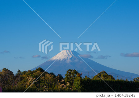 【伊豆　修善寺】富士山 140419245
