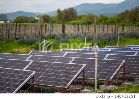 Sustainable energy panels in a lush green vineyard with mountains under soft daylight 140419251