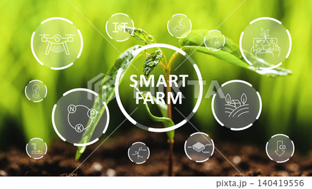 Smart farm technology shows plant growth and various data on farming practices Smart farm technology shows plant growth and various data on farming practices 140419556