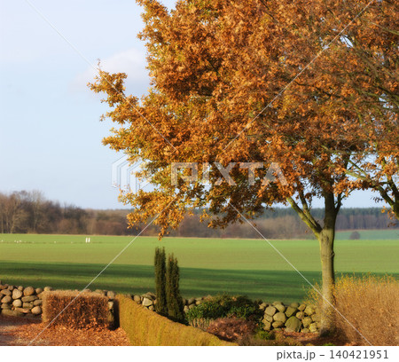 Countryside, grass and trees with summer, environment and agriculture with growth or plants. Empty, blue sky or fresh air with grass or natural with sunshine or eco friendly with ecology or landscape Countryside, grass and trees with summer, environment and agriculture with growth or plants. Empty, blue sky or fresh air with grass or natural with sunshine or eco friendly with ecology or landscape 140421951