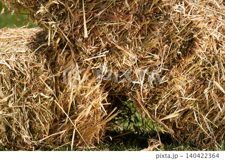 Closeup, hay and ranch in outdoor field, feed and natural sustainability farming in Texas. Grass, nature and agriculture in countryside, wheat bales and farm land in USA for animal grain food harvest 140422364