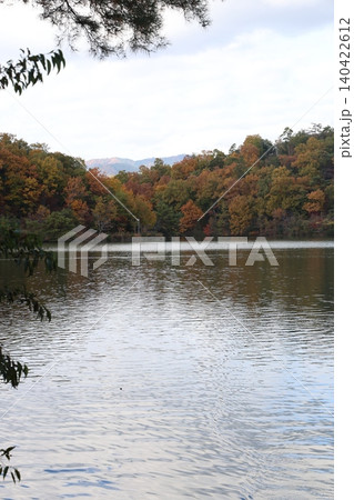 紅葉した木々と池 140422612